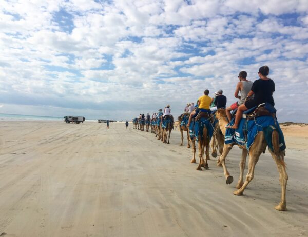 people-riding-camels-beach-against-cloudy-sky people-riding-camels-beach-against-cloudy-sky